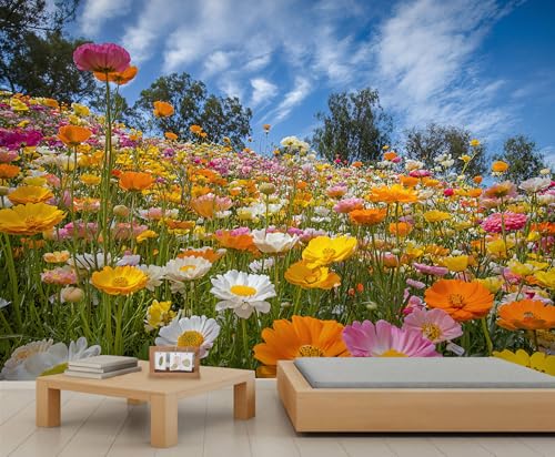 Large HD Canvas Wall Mural 169" × 118", Seamless Multi-Panel Wallpaper for Accent Walls & Room Décor