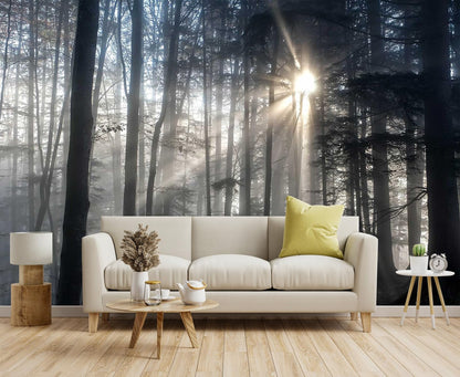 Mountain Stream Forest Wall Mural with Sunlight, Non-Adhesive Wallpaper